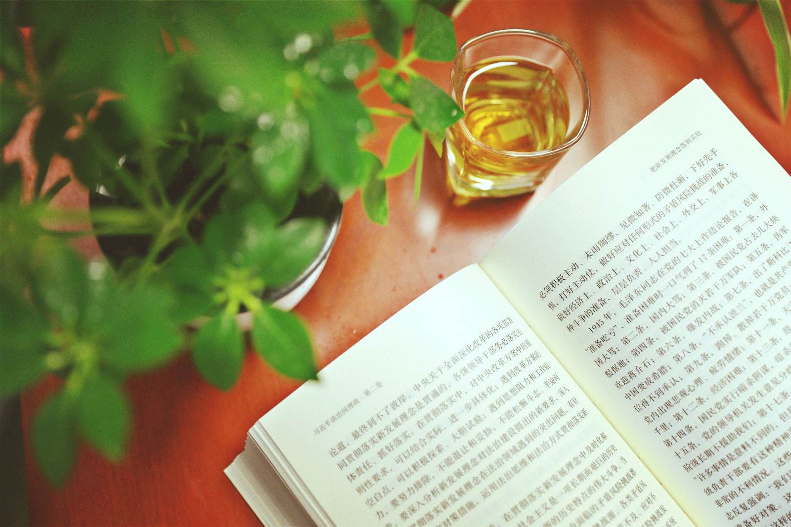 养成阅读习惯.jpg